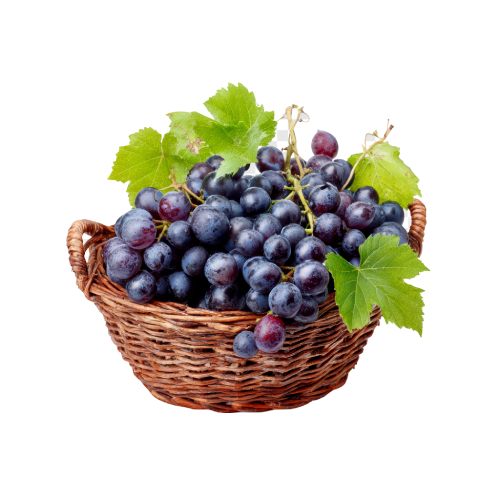 Fresh Grapes
