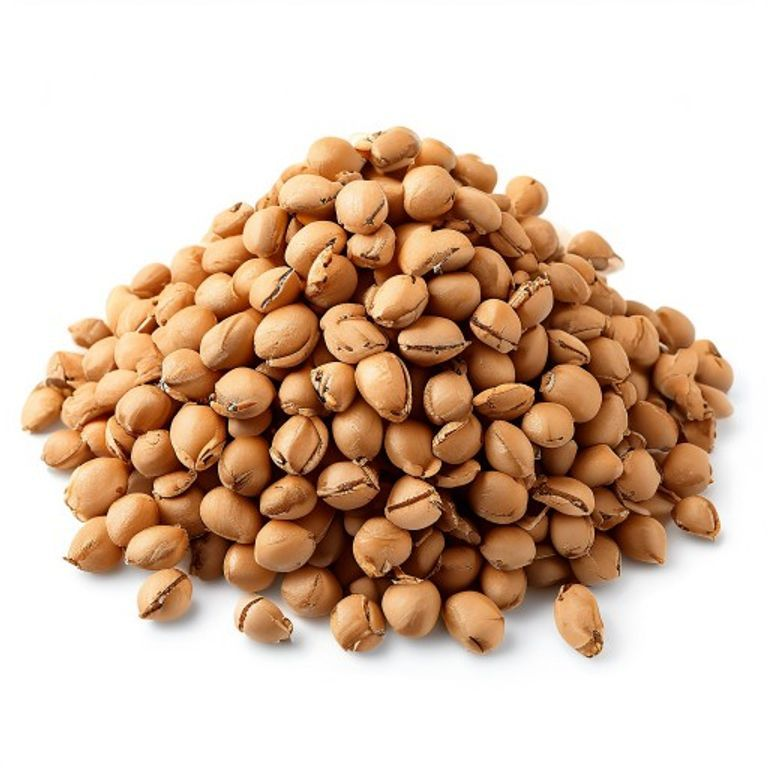 Desi Chickpeas