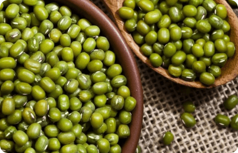 Green Mung Bean