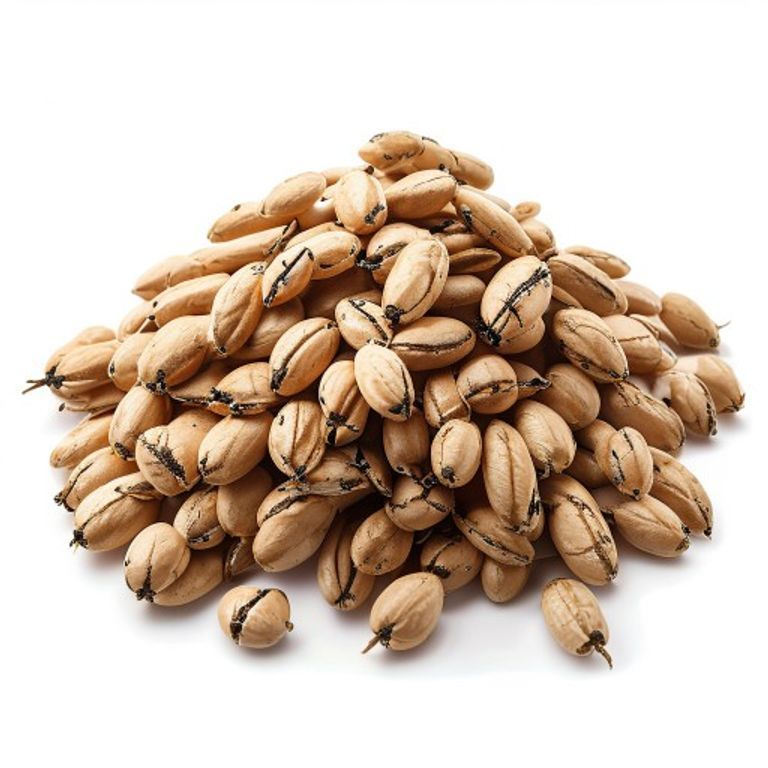 Lablab Beans