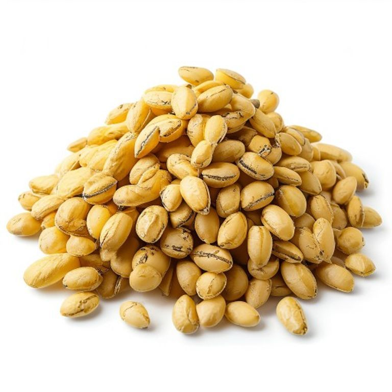 Lupin Beans
