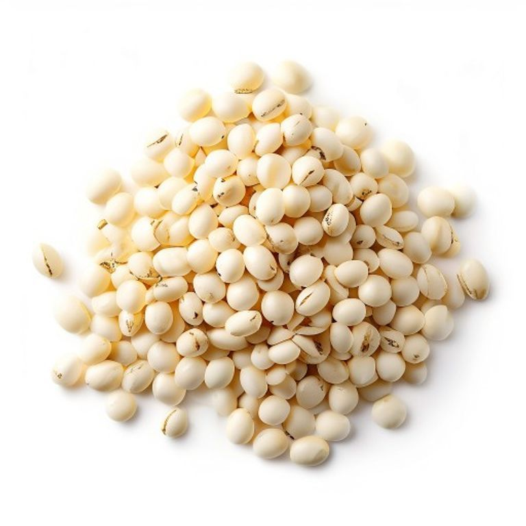 Urad Gota