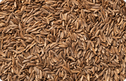 Cumin Seeds