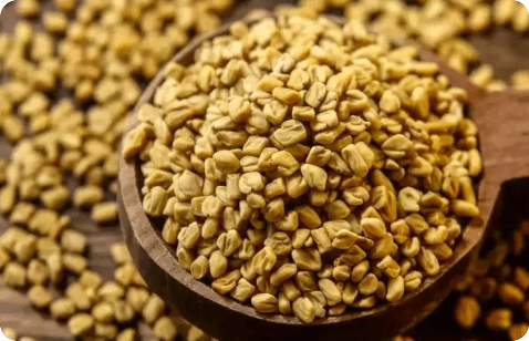Fenugreek Seeds